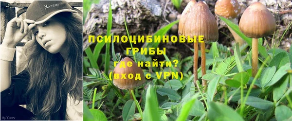 эйфоретик Абаза