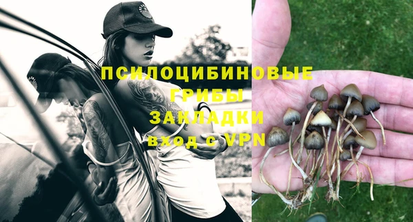 шишки Нефтегорск