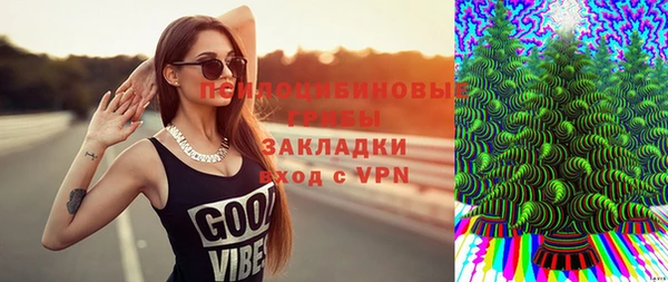 индика Абдулино