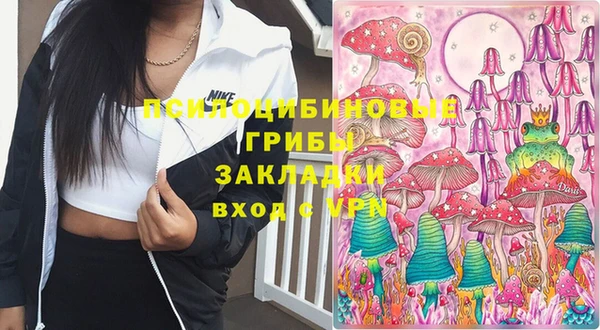 индика Абдулино