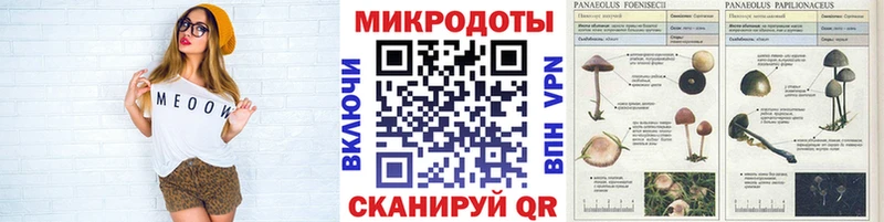 Псилоцибиновые грибы Magic Shrooms  Соликамск 